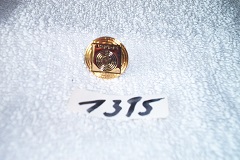 1395 Steyr Pin Gold